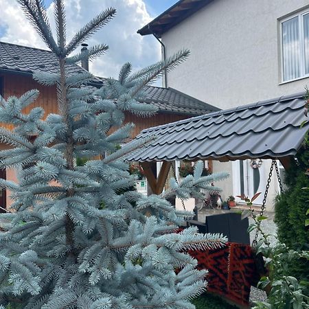 Pensiunea Alexandra Livia Borşa Exteriér fotografie